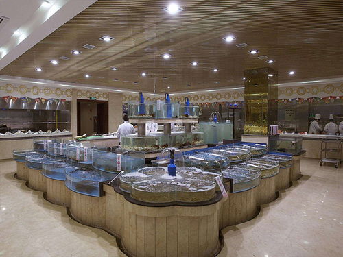 福州土建海鮮池 福州鑫宇玻璃海鮮池 福州土建海鮮池電話(huà)