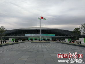 第八屆 中國(guó)博物館及相關(guān)產(chǎn)品與技術(shù)博覽會(huì) 在福州開(kāi)幕 圖