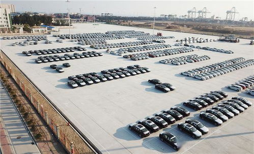 福港集箱開(kāi)通 大連 福州江陰港 內(nèi)貿(mào)商品車(chē)滾裝航線(xiàn)