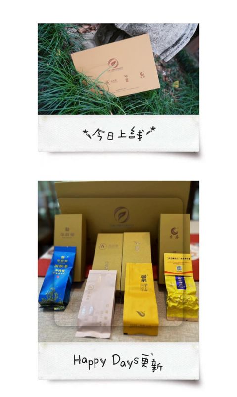 福茶產(chǎn)業(yè)融合發(fā)展論壇在福州舉行 曹德旺期望有更多老百姓也能喝得起好茶