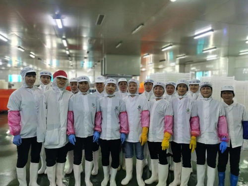 五一巾幗有擔(dān)當(dāng),彰顯 她 力量