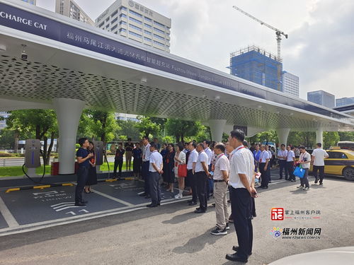 福州市政協開展新能源產業培育視察活動，助力綠色經濟發展